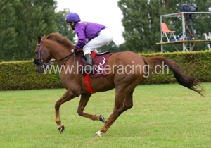 Kategorie: Avenches, 30.7.2014 (S.Schär)